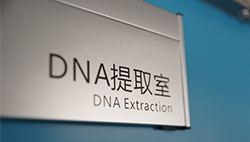 西安DNA鉴定中心有哪些地地方，西安办理亲子鉴定的流程